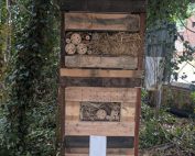 Bug hotel (600x400px)