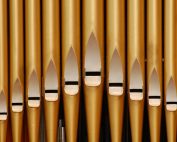 Organ pipes (background)