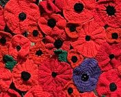 Knitted poppies