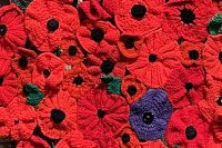Knitted poppies