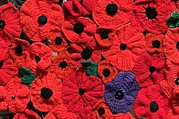 Knitted poppies